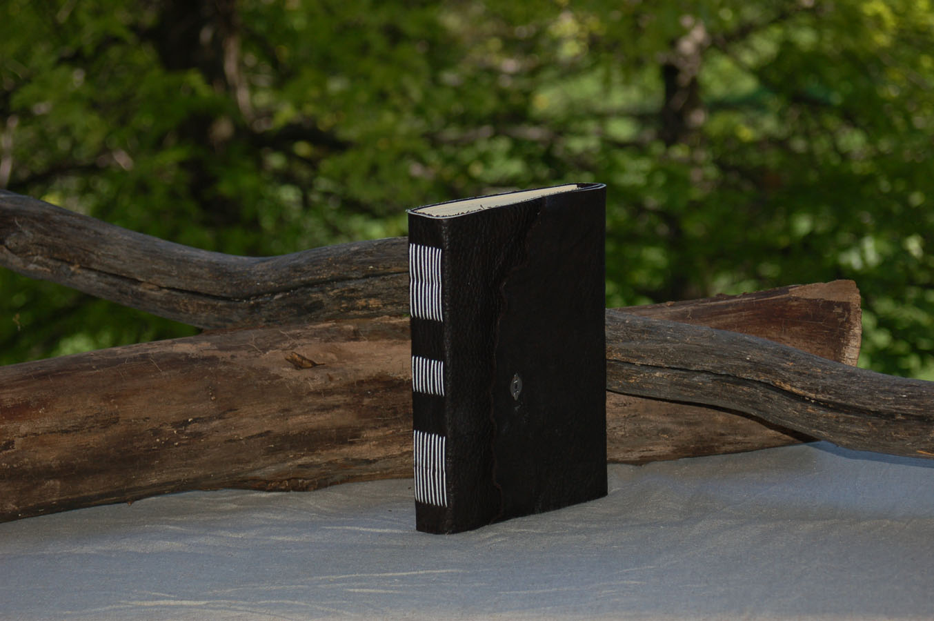 8x5signature_buffalo_black.jpg